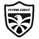 Logo- Flying Eagle 3