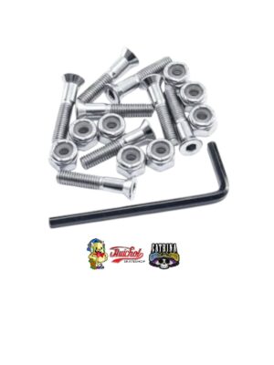 TORNILLOS CATRINA COLOR PLATA (INCLUYE LLAVE)