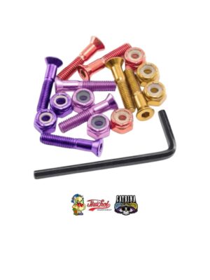 TORNILLOS CATRINA MULTICOLOR (INCLUYE LLAVE)